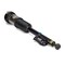 Arnott Air Suspension Strut, As-2821 AS-2821 - alternate 2